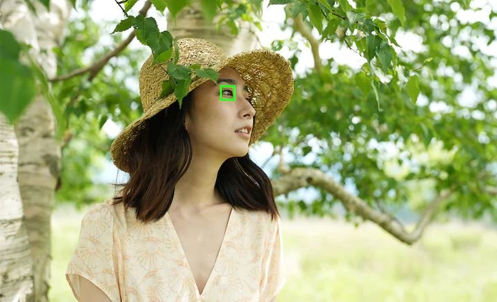  Sony alpha A7 IV có khả năng lấy nét chính xác vào mắt người và động vật