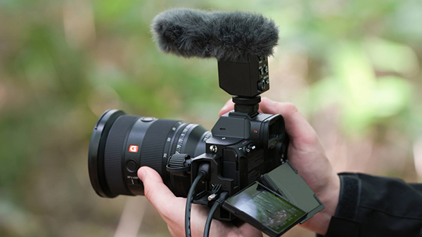 Khả năng lấy nét tự động cực tốt