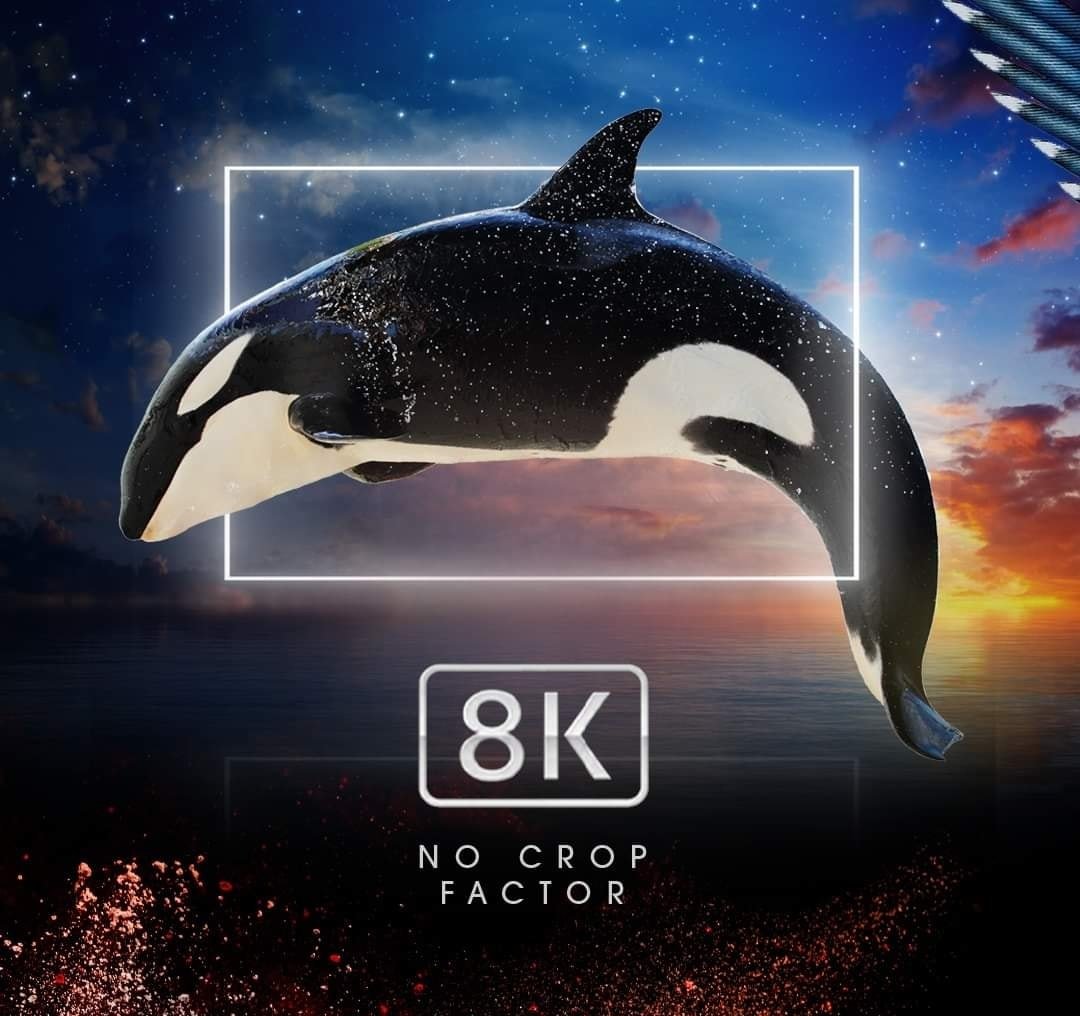 Quay video raw 8K 30fps và 4K 120 fps trên Canon EOS R5