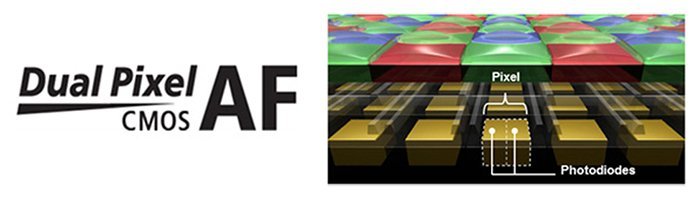 Hệ thống lấy nét Dual Pixel CMOS AF II trên máy ảnh Canon EOS R5