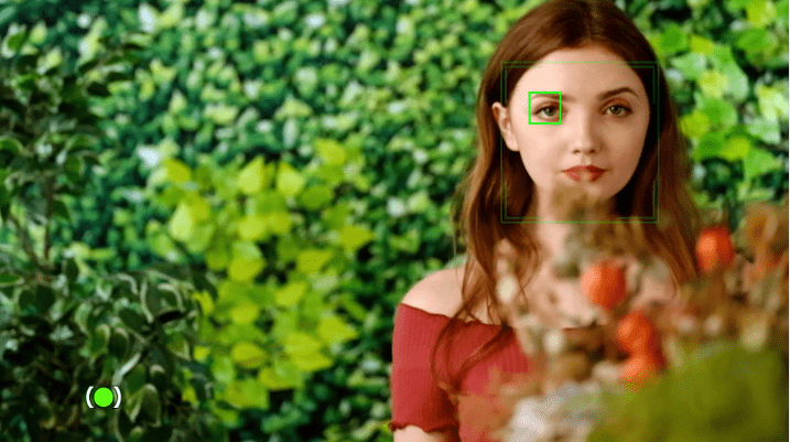 Fujifilm X-T30 Mark II có tính năng lấy nét vào mắt và mặt của đối tượng