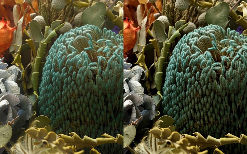 Hiệu ứng Grain Effect của Fujifilm X-T30 Mark II