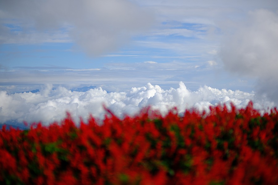 Khả năng chụp ảnh chất lượng lên đến 160mp