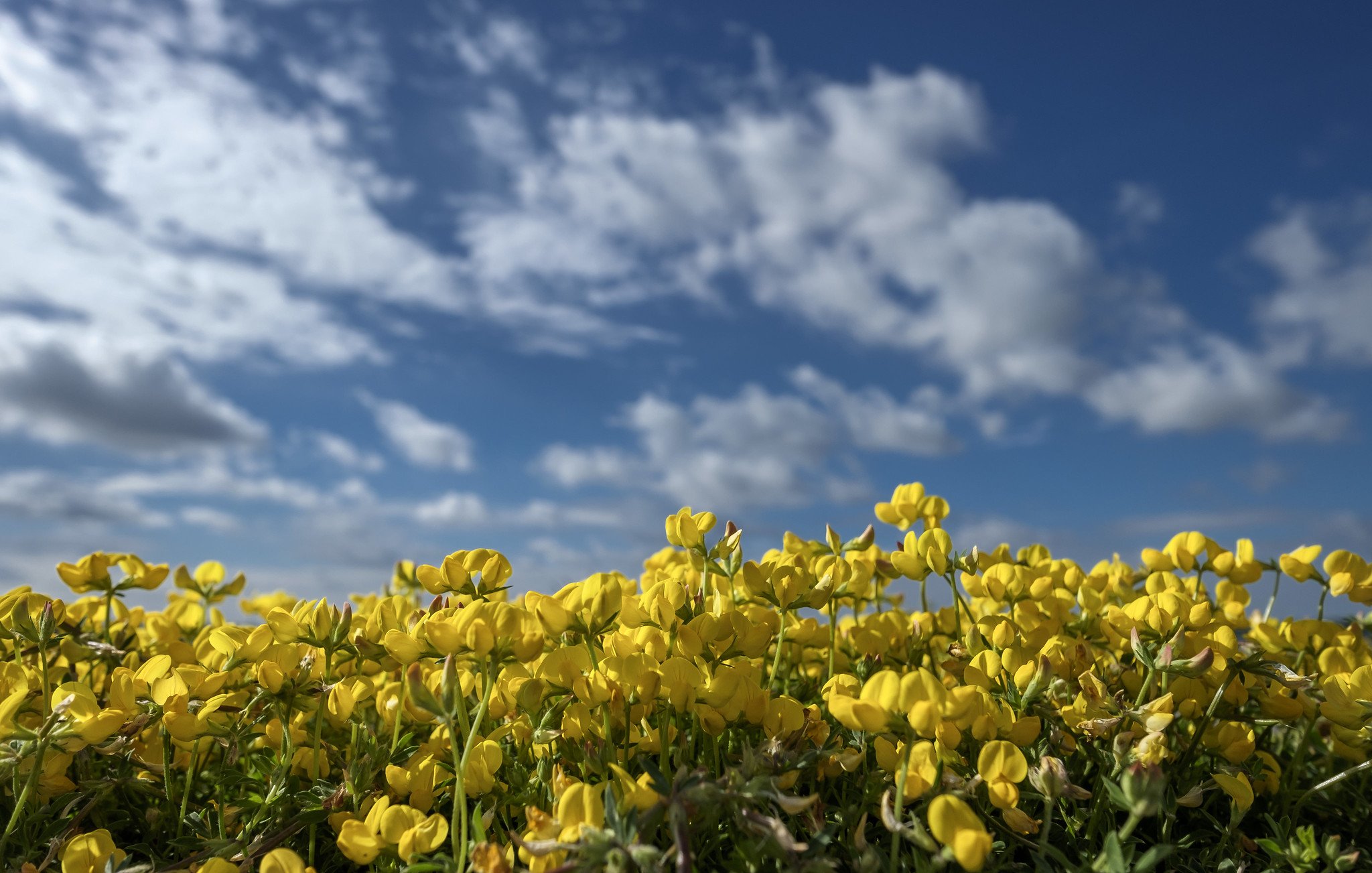 Ảnh thực tế từ fujifilm xf 14mm f2.8 tiêu cự 14mm f/5 1/2900 ISO 200