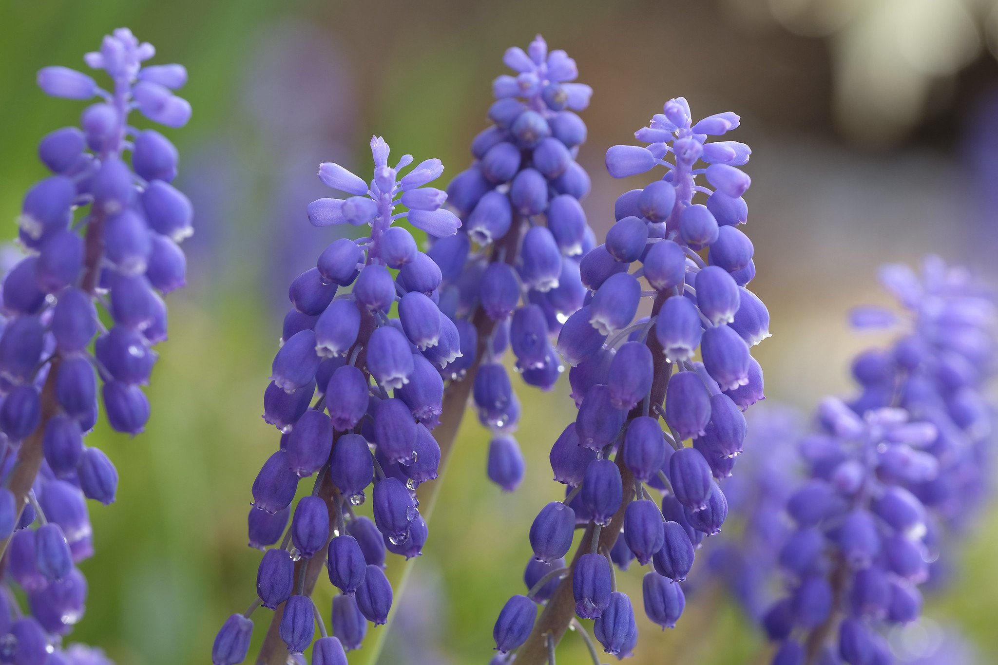 Ảnh thực tế từ fujifilm xf 80mm f2.8 tiêu cự 80mm f/5.6 1/120 ISO 200