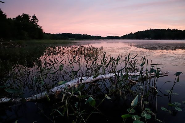 ảnh chụp thực tế của máy ảnh Canon 6D Mark II - ảnh 4