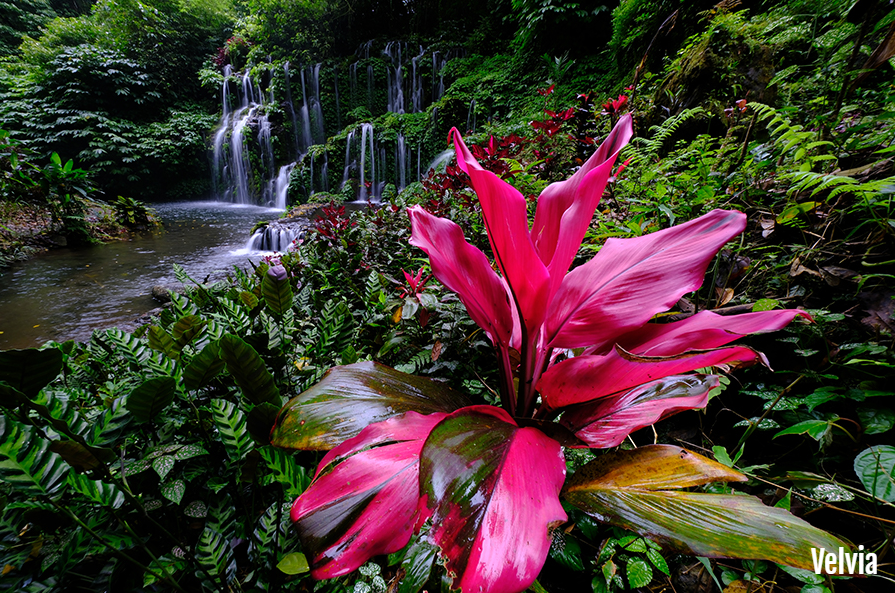 Camera tích hợp 19 chế độ mô phỏng phim Fuji