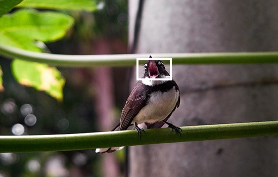 X100VI là chiếc máy ảnh compact đầu tiên trong dòng X100 được tích hợp khả năng ổn định hình ảnh trong thân máy