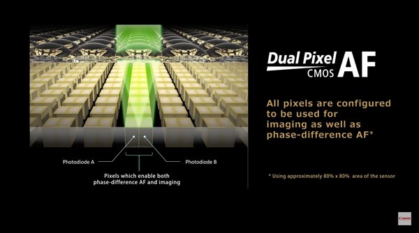 may-anh-may-anh-Canon EOS RP