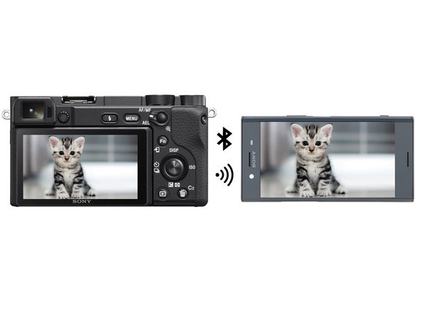 may-anh-Sony A6400-9