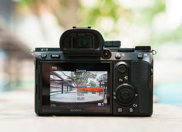 may-anh-Sony-A7-III 9