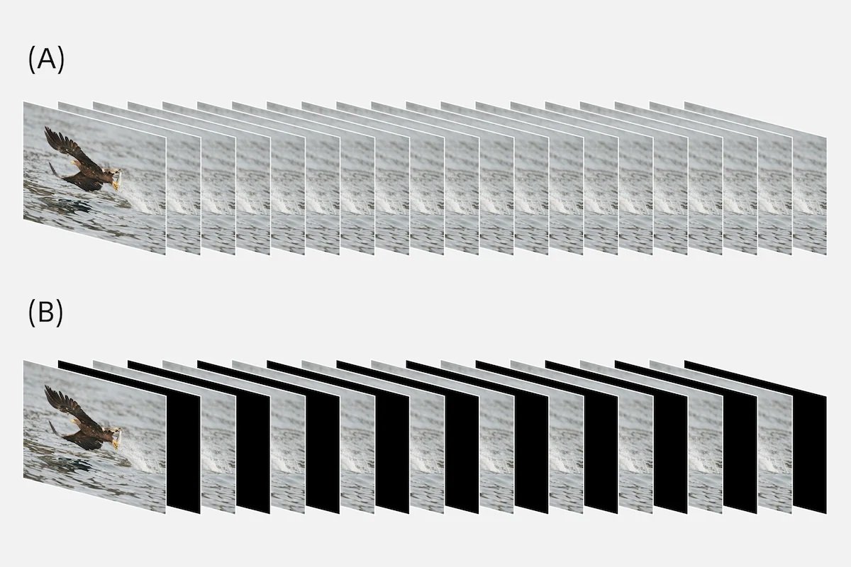 Sony Alpha 1 - Hạn chế hiện tượng blackout
